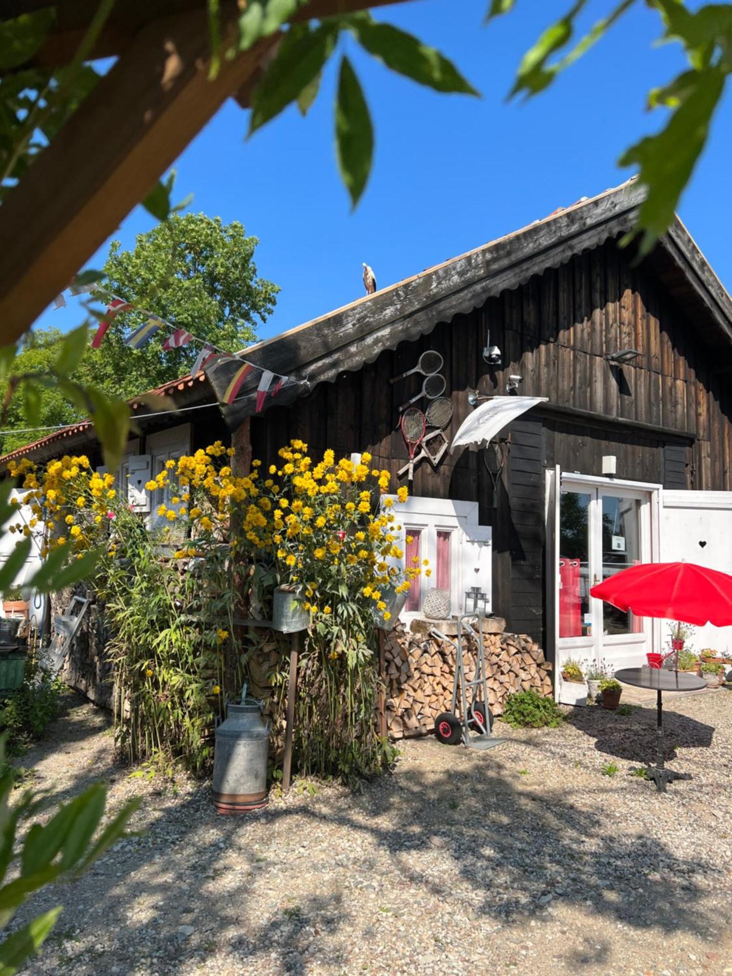 Ferienwohnung Siedlisko Blanki Suryty Exterior foto